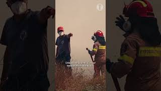 Waldbrände in Griechenland: Feuer auf Rhodos breiten sich aus