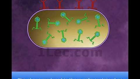 Hershey Chase Experiment