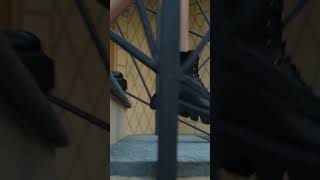 Casadei - Fw 23-24 Collection