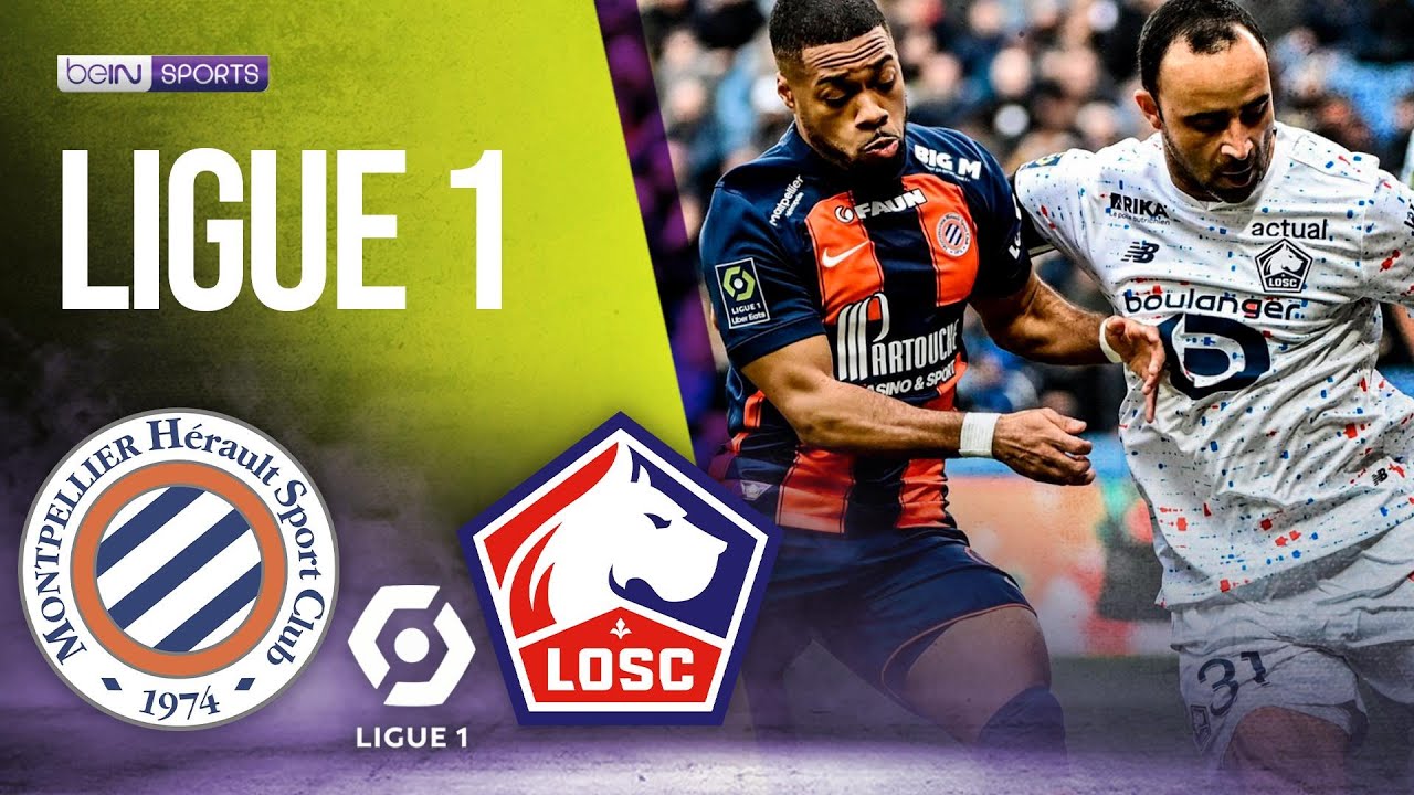 Montpellier vs Losc Lille | LIGUE 1 HIGHLIGHTS | 01/27/24 | beIN SPORTS ...