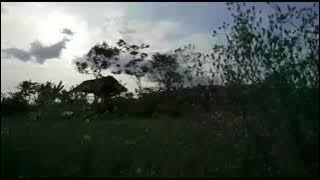 Cinta itu musingkeun !!!