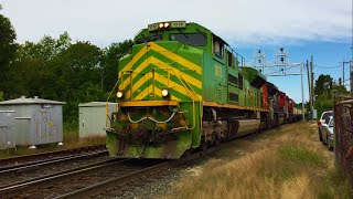 Chasing NS 1072 Illinois Terminal Heritage on Pan Am District 3