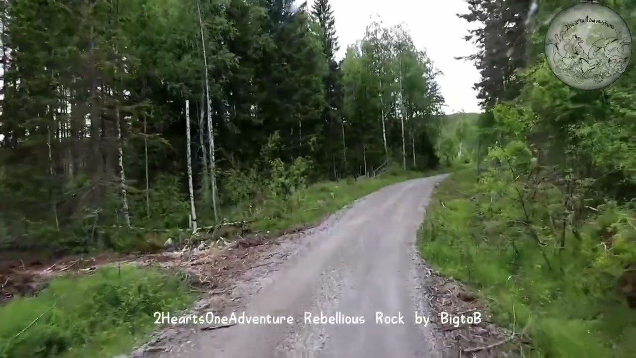 Fahrt in der Provinz Helsingland