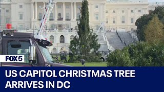 Arrival of the 2023 US Capitol Christmas Tree!