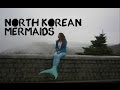 Seoul Korea Vlog North Korean Border Mermaids Ep 4 Seoul Korea Vlog North Korean Border Mermaids Ep 4
