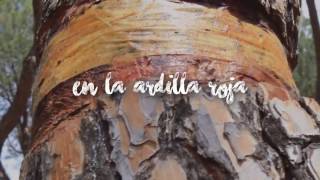 Mondongos de Camping | Mi primer vídeo de Youtube