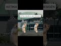 jangan coba coba ges #pov #meme #funny #cat #shortvideo
