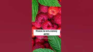 Можно ли есть малину детям