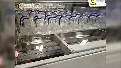 Model 3710 Automatic Bottle Bagger