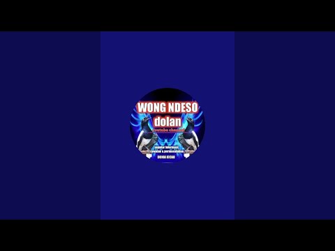 WONG NDESO Dolan sedang live sekarang!
