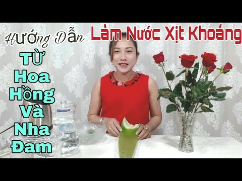 Hướng dẫn Cách nấu nước nha đam – HƯỚNG DẪN LÀM NƯỚC XỊT KHOÁNG TỪ HOA HỒNG VÀ NHA ĐAM 💎 LÀM ĐẸP CÙNG NHAU