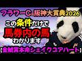 【フラワーC2026 阪神大賞典2026 勝ち爆穴馬共通点🐼】11週連続動画出の推奨馬が好走馬中‼️これを狙うだけで馬券内の馬わかります🐼