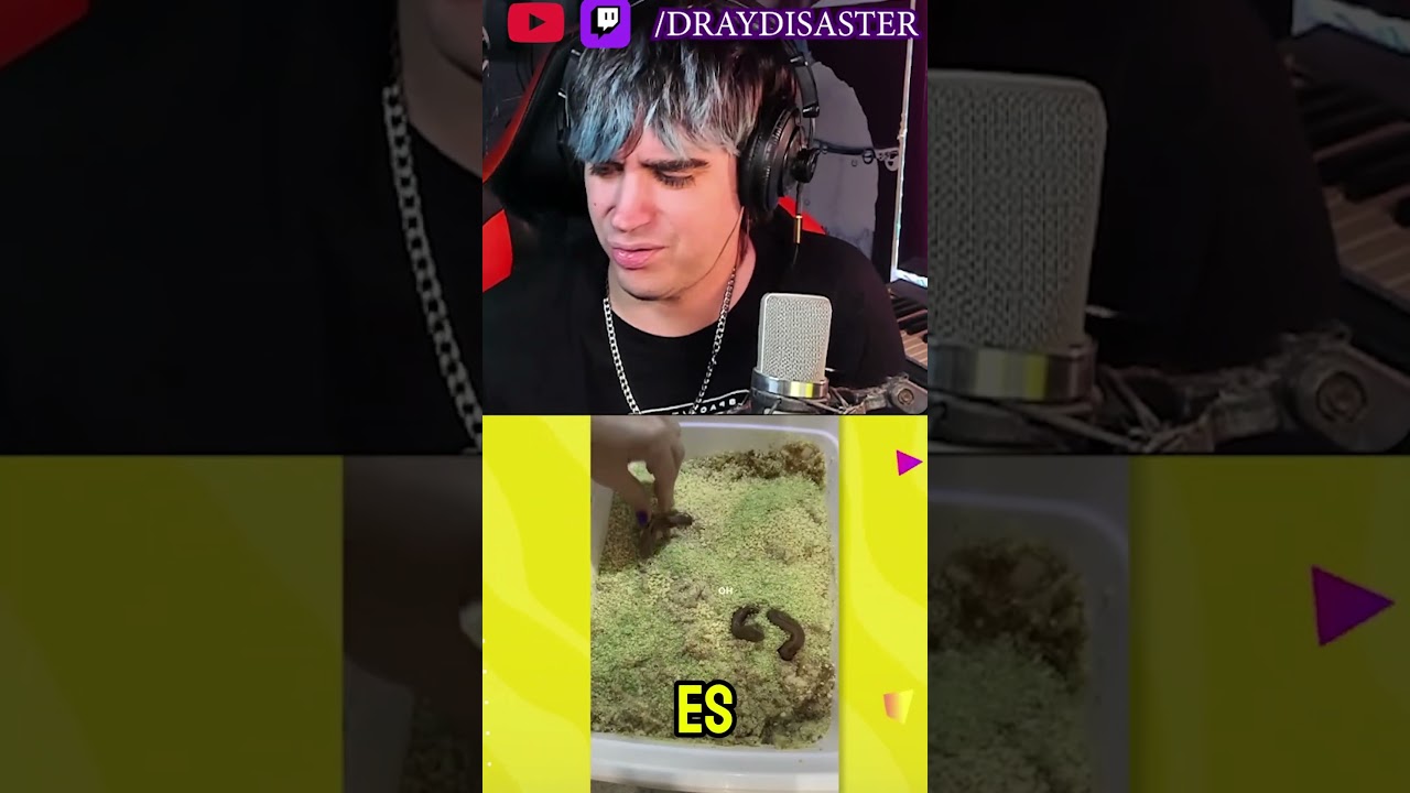 EL PEOR POSTRE DEL MUNDO  😵🥴 #curiosidades #asco #postre