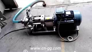 FSL20 75 double screw pump for testing video by May Xiang 132 views 8 years ago 1 minute, 8 seconds