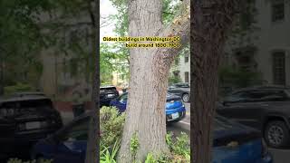 Oldest buildings in Washington DC #oldest #travel #youtubeshorts #teluguyoutuber #viral