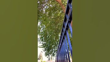 Wb txoj hmoov tsi txog