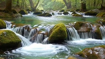 Rapid River Flow ASMR – Strong Water Movement for Stress Relief
