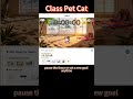 Can Your Class Stay Focused? 🐱 Classroom Timer #shorts #teachertools #teachertiktok #edtechtools