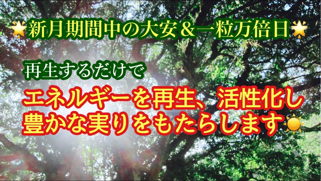 ✨遠隔レイキヒーリング✨大開運日と大自然の調和のエネルギーをお届けします🌿