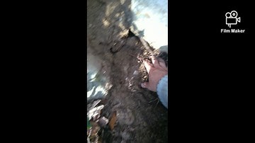 go-find 11 Bulgaria 2