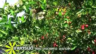 คนไทยหัวใจเกษตร 27-05-57  B3