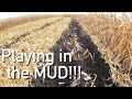 Mud Harvest 2021