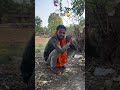 कारिय#viral#comedy#cake#funny #attitude#video#love #prank#support#memes #trending#song#vlog#bollywod