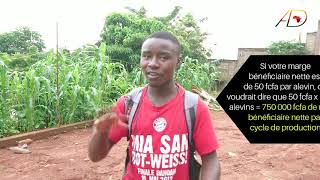 BUSINESS CAMEROUN 2 : ALEVINS PRODUCTION