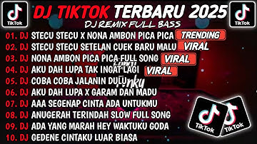 DJ TIKTOK TERBARU 2025 - DJ STECU STECU X PICA PICA REMIX🎵DJ NONA AMBON PICA PICA VIRAL TIKTOK 2025