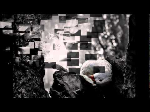 یه دیواره داریوش فرامرز اصلانی