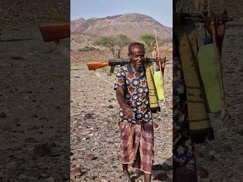Daily life in the desert of Djibouti