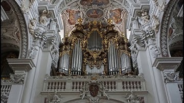 Organs - part 1 Europe