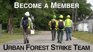 Become a Member of an Urban Forest Strike Team