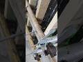 Wire Straightening &amp; Alignment – Simple Wire Drawing Correction Trick 🔧" #shortsfeed