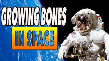 Growing Bone in Space