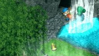 Harvest Moon Btn Powerberries