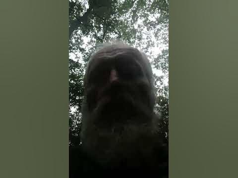 ВОГНИЩЕ У ЛІСІ СОКИРЯНИ - YouTube