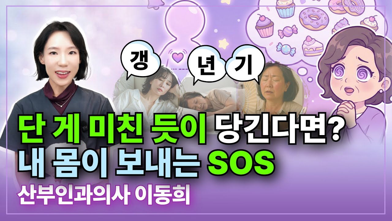 덜 먹는데 배는 왜 나올까? 갱년기 몸이 '저장 모드'로 변했다는 확실한 증거