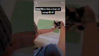 Famous DO A FLIP!! 😭🙏 #meme #fypシ゚viral #fyp #funnyasf #funnyshorts #funny Wealth