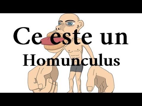 Video: Ce Este Un Homuncul