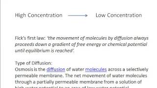 Lecture 3: Nutrient Uptake