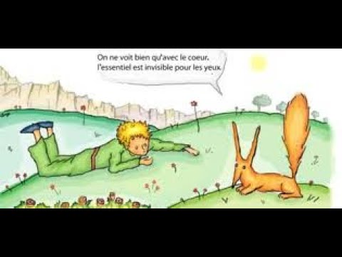 Le Petit Prince et le renard chapitres 20 et 21 - YouTube