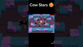 Cow stars🥰