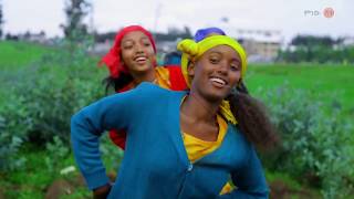 Ethiopian Music : Darribee Taddasaa (Seenan Hayadatuu)- New Ethiopian Music 2019(Official Video)