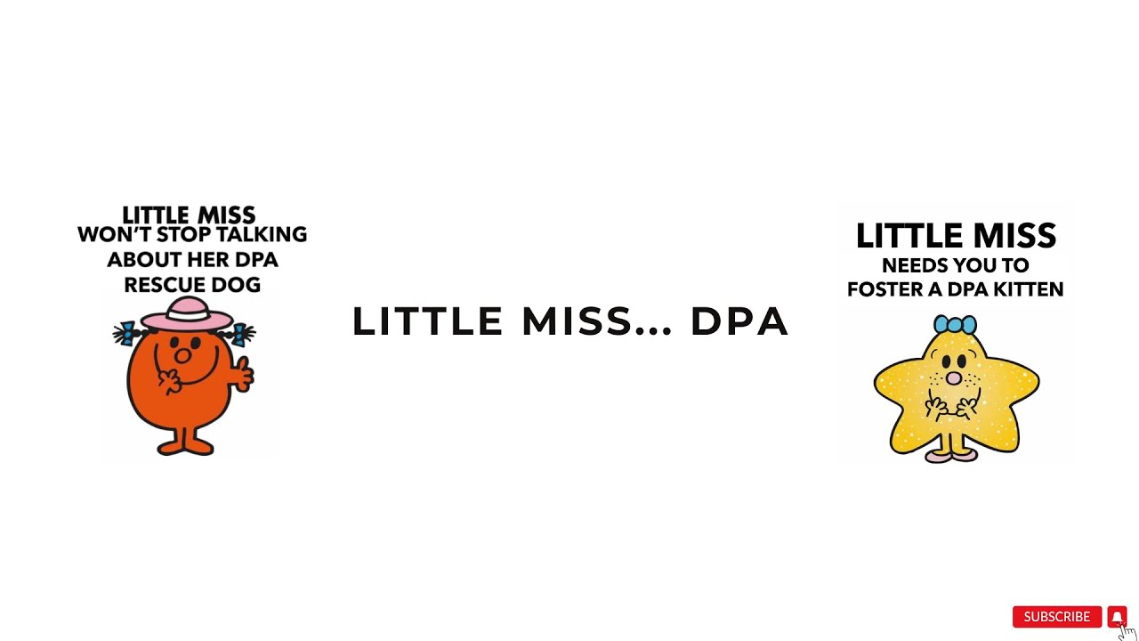 Little Miss... Fun at Dallas Pets Alive