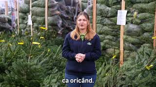 Returnează Bradul Și Primești Un Voucher De 25 Lei