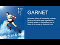 Garnet - Toki wo Kakeru Shoujo  Ending Song Cover