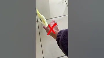 The Right Way of Picking up a Banana