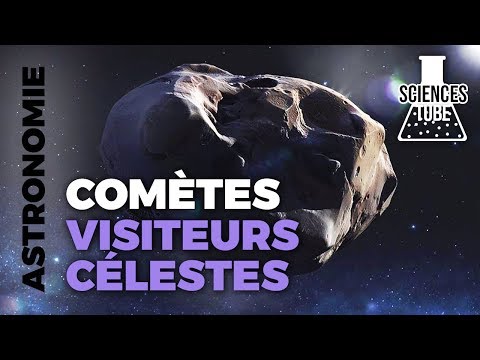 Vídeo: Com són les òrbites dels cometes?