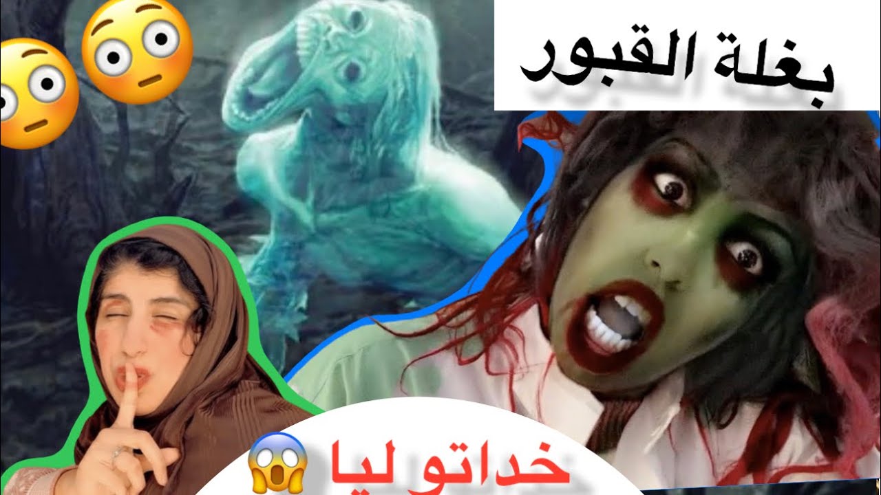 بغلة القبور 🦓🦓🫣الجلقة (1) خرجات لينة وخدات معاها عليقة 🥴🥴 - YouTube